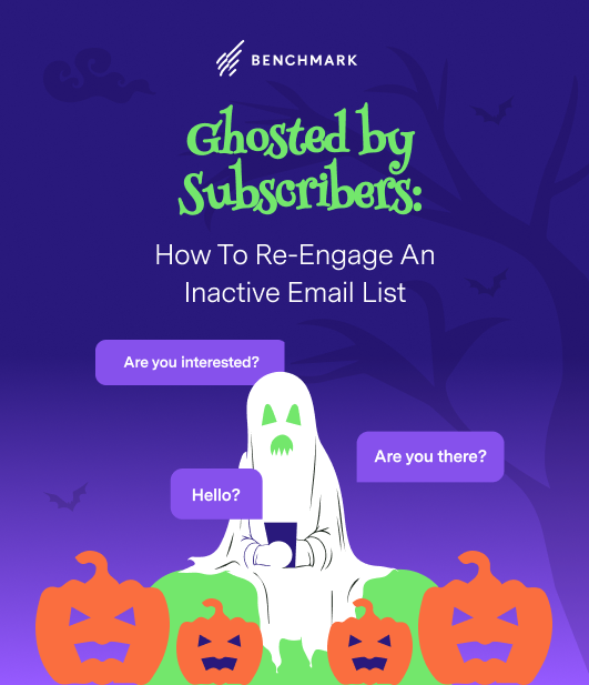 Ghosted by Subscribers_ How to Re-Engage an Inactive Email List-resource image Ghosted by Subscribers_ How to Re-Engage an Inactive Email List-resource image