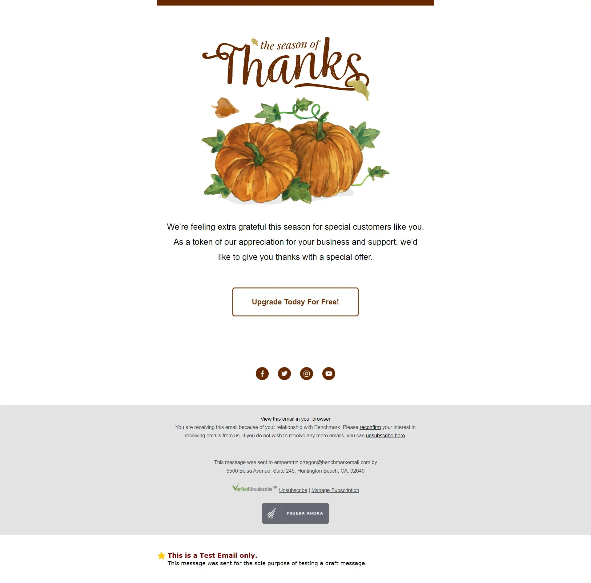 Benchmark Email Designer